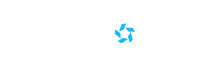 Logo Federazione Ordini Ingegneri Lazio